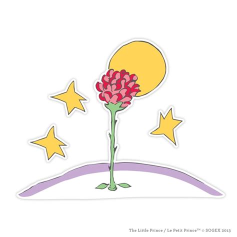 Rose Du Petit Prince
