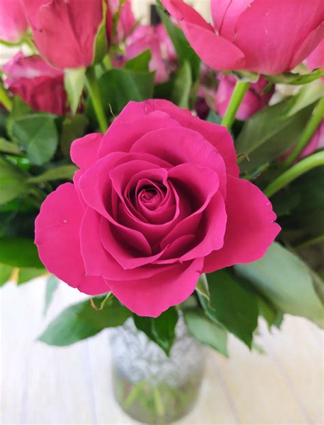 rose maljakossa finnish edition