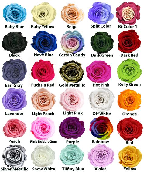 roses colors