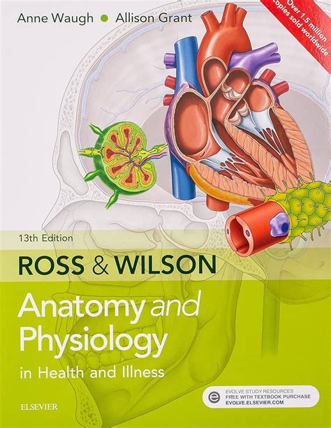 Ross And Wilson