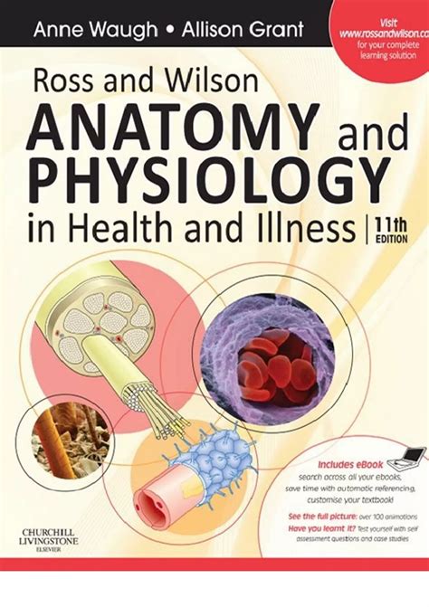 Full Download Ross And Wilson 11Th Edition 
