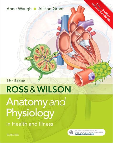 Read Online Ross Wilson Anatomy Physiology 11Th Edition 