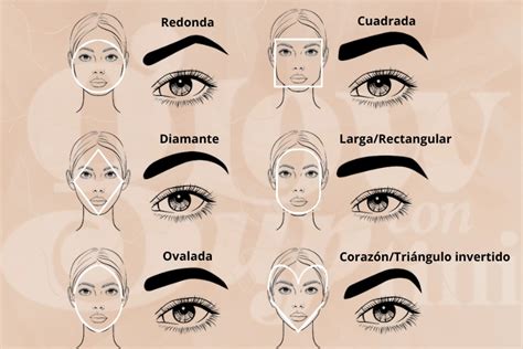 Rostro Tipos De Cejas