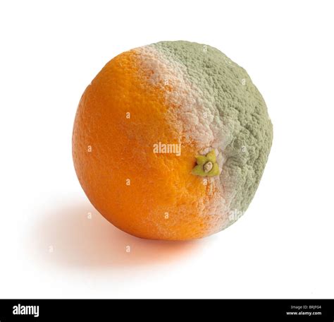 Rotten Orange