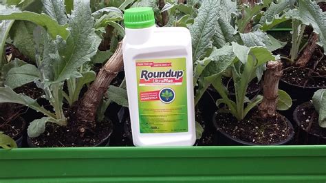 roundup träd