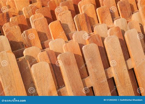 Rows And Rows Of Fences Ritwik Ghatak On Cinema