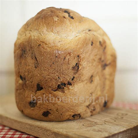 rozijnenbrood broodbakmachine domo