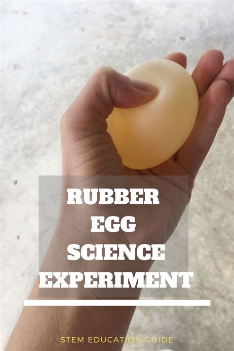 Rubber Egg Chemical Reaction Experiment Science Fun Rubber Egg Experiment Worksheet - Rubber Egg Experiment Worksheet
