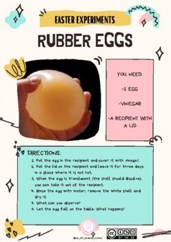 Rubber Egg Experiment Teaching Resources Tpt Rubber Egg Experiment Worksheet - Rubber Egg Experiment Worksheet