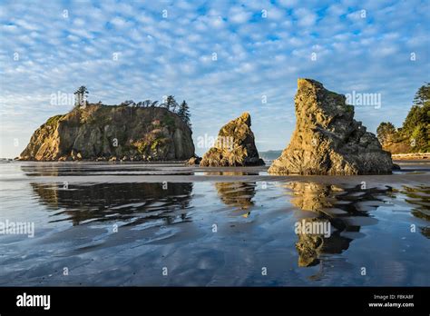 ruby beach washington