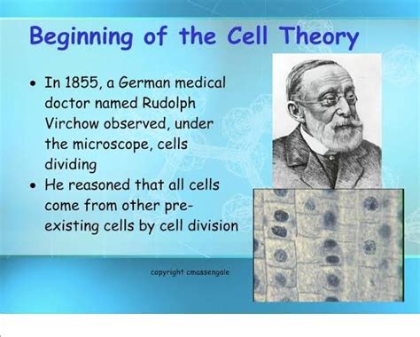 rudolf virchow cell theory biography of christopher
