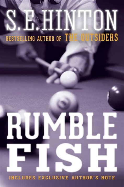 Rumble Fish Book Setting