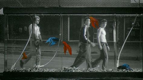 Rumble Fish Fish