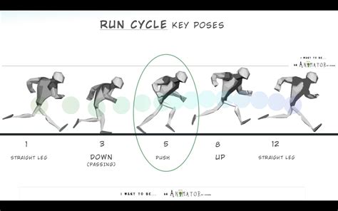 run cycle