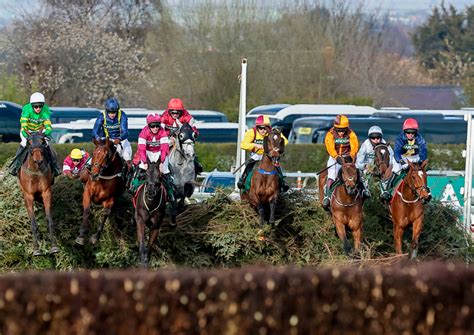 runners for grand national