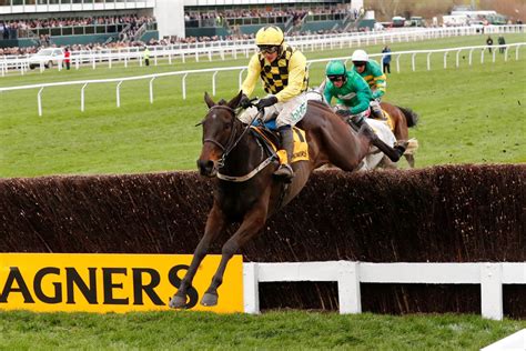 runners in cheltenham gold cup