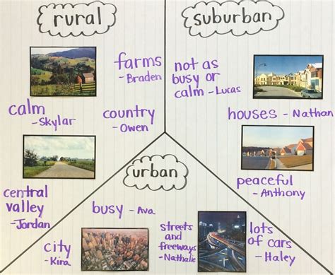 Rural Suburban And Urban Lesson For Kids Lesson Urban Suburban Rural Worksheet - Urban Suburban Rural Worksheet