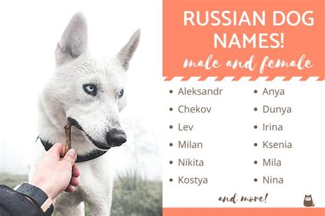 russian girl names dog