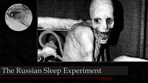 Russian Sleep Experiment Book