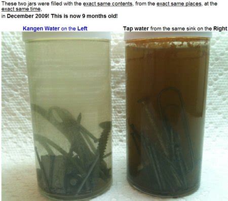 Rusting Nails Alkaline Water And Alleged Antioxidant Properties Nail Rusting Science Experiment - Nail Rusting Science Experiment