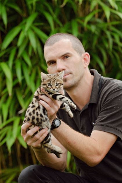 Rusty Spotted Cat Size