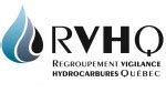 verde: Apostas Desportivas Online com Garantia de Segurança Financeira para Todos os Jogadores - Foto 2