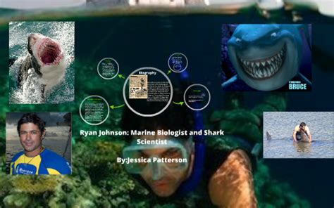ryan johnson shark biography