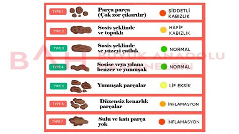 sümüksü ishal neden olur 