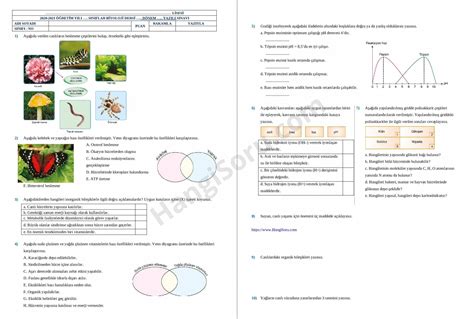 sınıf biyoloji yazılı soruları ve cevapları test olarak çözebilirsiniz.