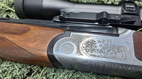 sabatti forest forum