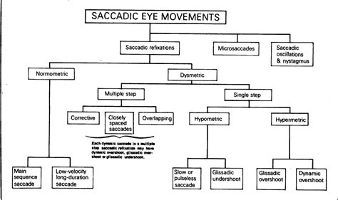 Saccadic Eye Movements