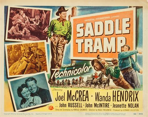 saddle tramp