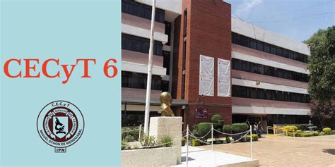 Saes Cecyt 6