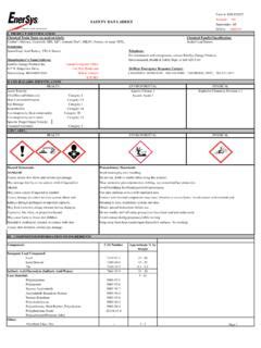 Full Download Safety Data Sheet Enersys 