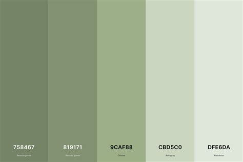 Sage Green Color Codes The Hex Rgb And Warna Sage - Warna Sage