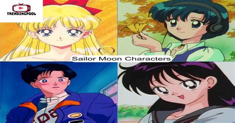 sailor moon character biography template