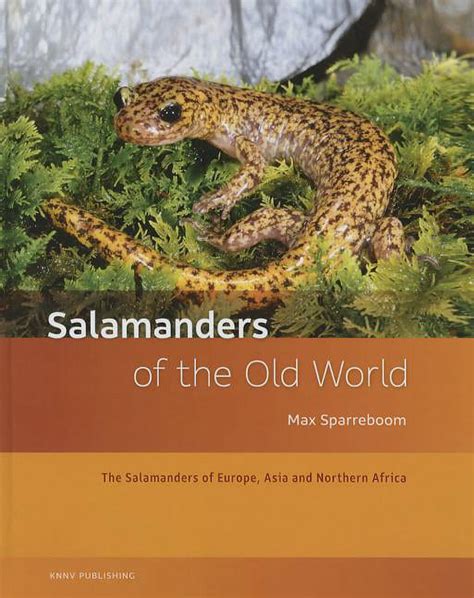 Salamanders Of The Old World By Max Sparreboom