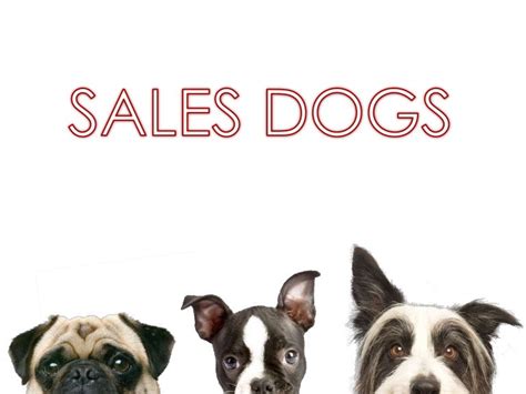 sales dogs summary pdf