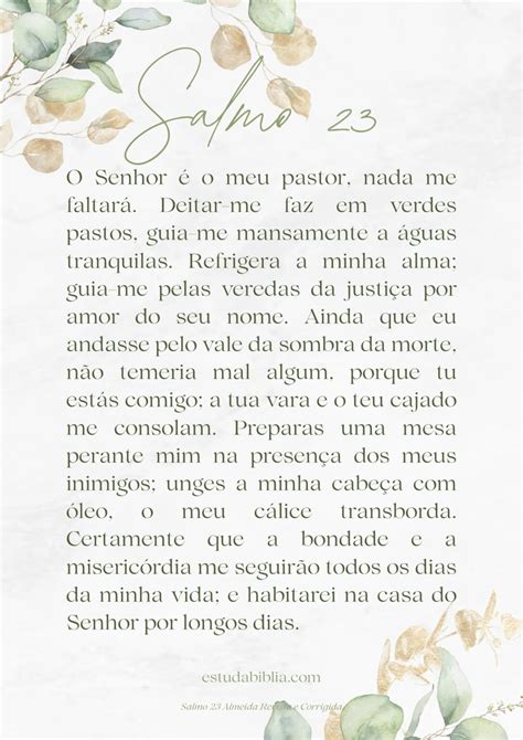 Salmo 23 Catolico