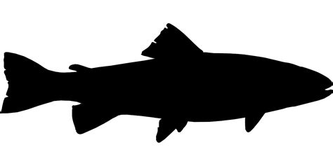 Salmon Silhouette Clip Art