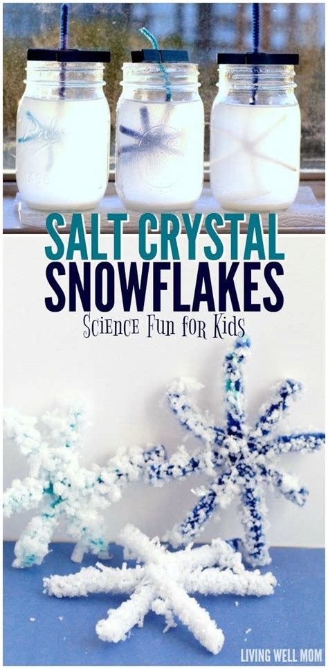 Salt Crystal Snowflake Easy Winter Stem Science For Snowflake Science Experiments - Snowflake Science Experiments