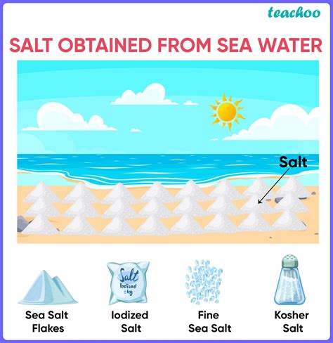 Salt Is Obtained From