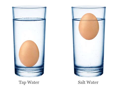 Salty Science Floating Eggs In Water Stem Activity Buoyancy Science Experiments - Buoyancy Science Experiments