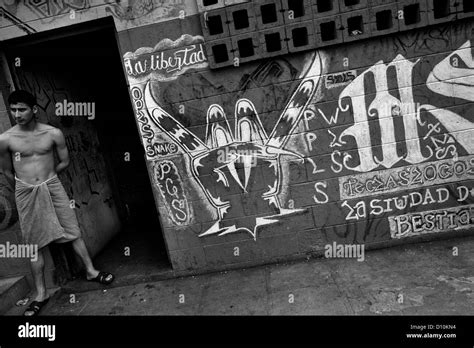 Salvatrucha Ms 13