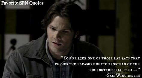Sam Kinneson Quotes