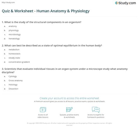 sample anatomy quiz pdf