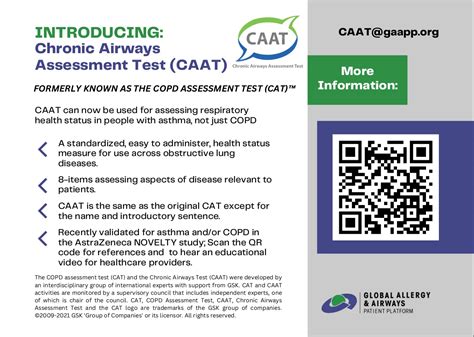 Sample Caat Test Conestoga College Practice