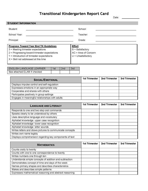 Sample Kindergarten Progress Report