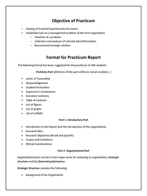 Sample Of A Practicum Report