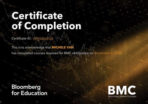 Sample Of Completed The Bloomberg Form B119
